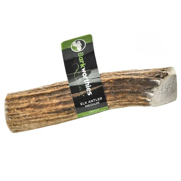 Barkworthies Whole Elk Antler