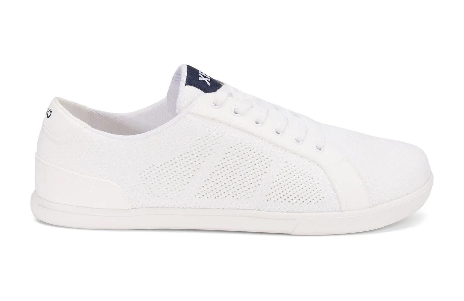 Xero Dillon Sneaker in Men's Sizing